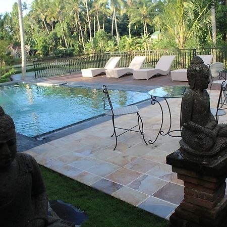 Serenity Ubud Villa & Spa Kültér fotó